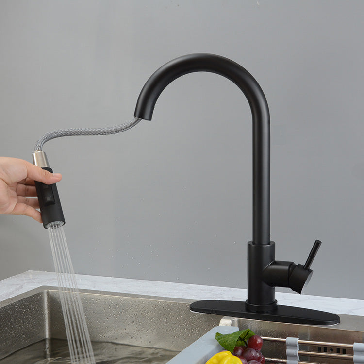 Matte Black Pull Down Kitchen Sink Faucet